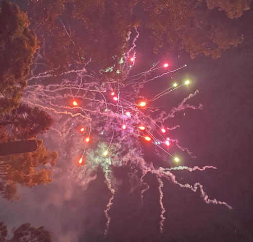 Chinese Lunar New Year festival at Blacktown 2025